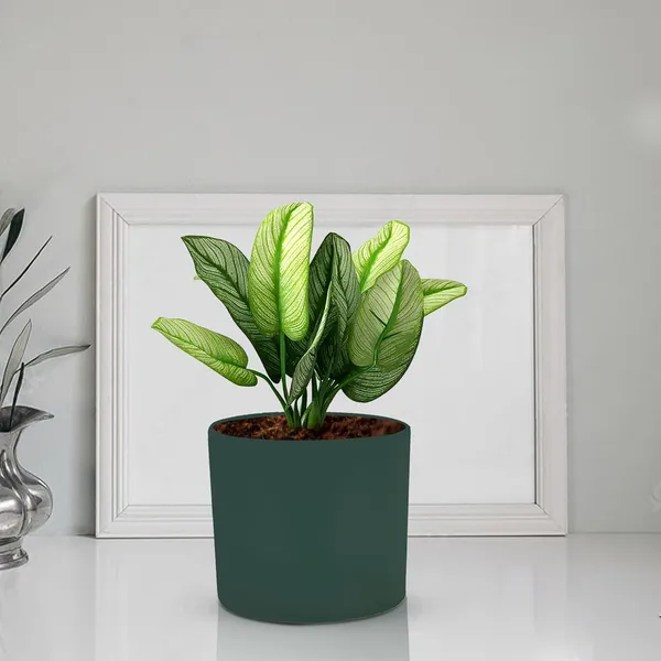 Sara_4_Inch_Deep_Jungle_Ceramic_Pots_For_Indoor_Plants,_Planters,_Flower,_Pots,_Gamla,Outdoor,Balcony,Home,Round,Garden,_Office_Decor,Succulent(H_-_10.5_X_D_-_12_Cm)