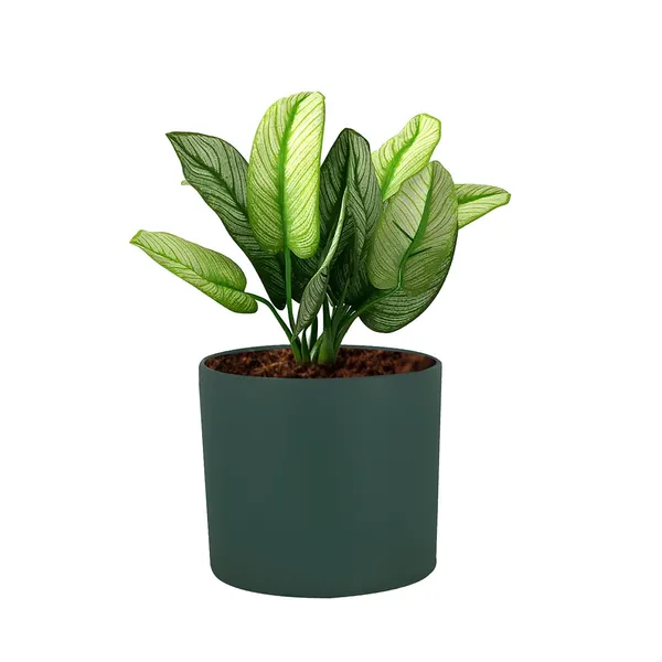 Sara_4_Inch_Deep_Jungle_Ceramic_Pots_For_Indoor_Plants,_Planters,_Flower,_Pots,_Gamla,Outdoor,Balcony,Home,Round,Garden,_Office_Decor,Succulent(H_-_10.5_X_D_-_12_Cm)