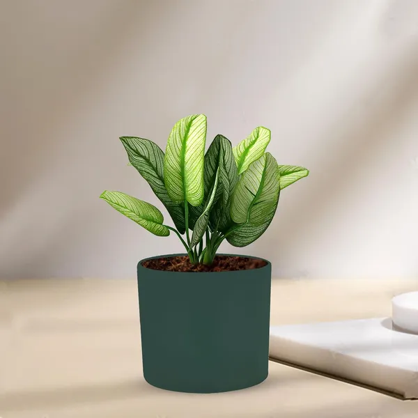 Sara_4_Inch_Deep_Jungle_Ceramic_Pots_For_Indoor_Plants,_Planters,_Flower,_Pots,_Gamla,Outdoor,Balcony,Home,Round,Garden,_Office_Decor,Succulent(H_-_10.5_X_D_-_12_Cm)