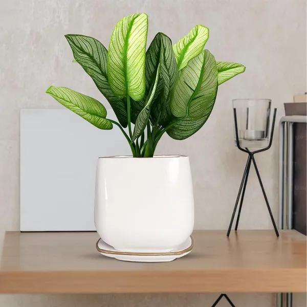 Pearl_Medium_White_Gold_With_Plate_Ceramic_Pots_For_Indoor_Plants,Planters,Flower,Gamla,Outdoor,Balcony,Home,Garden,Office_Decor,Succulent(L-15_X_W-15_X_H-13.5_Cm)