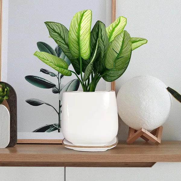 Pearl_Medium_White_Gold_With_Plate_Ceramic_Pots_For_Indoor_Plants,Planters,Flower,Gamla,Outdoor,Balcony,Home,Garden,Office_Decor,Succulent(L-15_X_W-15_X_H-13.5_Cm)