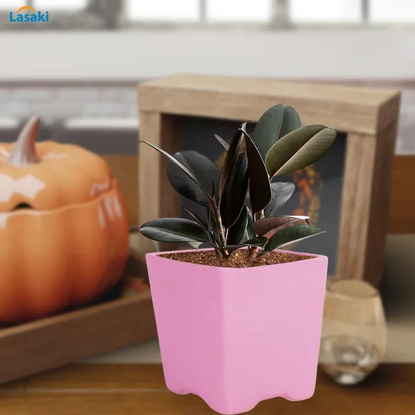 Mini_Pot_Purple_Ceramic_Pots_For_Indoor_Plants,Planters,Flower,Gamla,Outdoor,Balcony,Home,Square,Garden,Office_Decor,Succulent(L-8_X_W-8_X_H-8_Cm)
