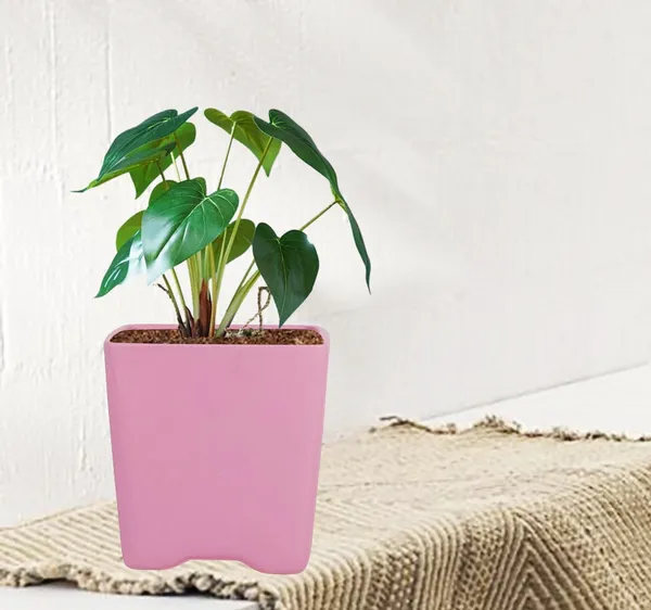 Mini_Pot_Purple_Ceramic_Pots_For_Indoor_Plants,Planters,Flower,Gamla,Outdoor,Balcony,Home,Square,Garden,Office_Decor,Succulent(L-8_X_W-8_X_H-8_Cm)