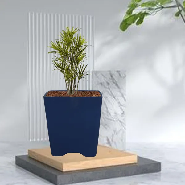 Mini_Pot_Blue_Ceramic_Pots_For_Indoor_Plants,Planters,Flower,Gamla,Outdoor,Balcony,Home,Square,Garden,Office_Decor,Succulent(L-8_X_W-8_X_H-8_Cm)