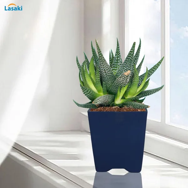 Mini_Pot_Blue_Ceramic_Pots_For_Indoor_Plants,Planters,Flower,Gamla,Outdoor,Balcony,Home,Square,Garden,Office_Decor,Succulent(L-8_X_W-8_X_H-8_Cm)