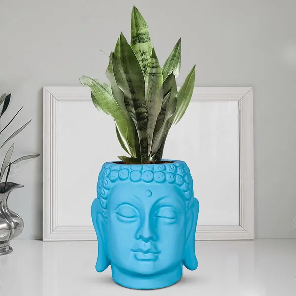 Buddha_6_Aqua_Ceramic_Pots_For_Indoor_Plants,_Planters,_Flower,_Pots,_Gamla,Outdoor,Balcony,Home,Round,Garden,_Office_Decor,Succulent(H_-_15.5_X_D_-_16_Cm)