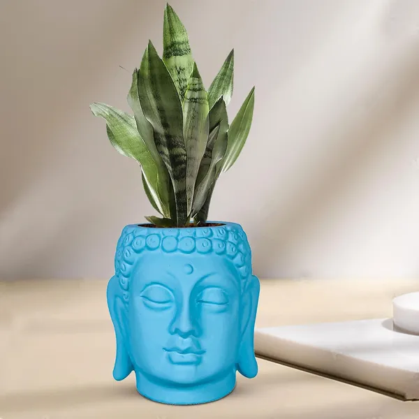 Buddha_6_Aqua_Ceramic_Pots_For_Indoor_Plants,_Planters,_Flower,_Pots,_Gamla,Outdoor,Balcony,Home,Round,Garden,_Office_Decor,Succulent(H_-_15.5_X_D_-_16_Cm)