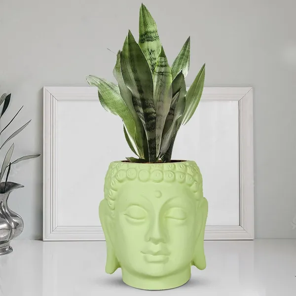Buddha_6_Mint_Ceramic_Pots_For_Indoor_Plants,_Planters,_Flower,_Pots,_Gamla,Outdoor,Balcony,Home,Round,Garden,_Office_Decor,Succulent(H_-_15.5_X_D_-_16_Cm)