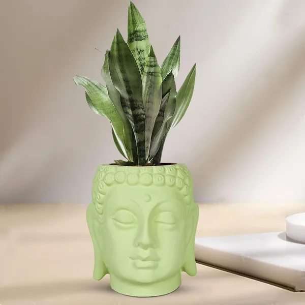 Buddha_6_Mint_Ceramic_Pots_For_Indoor_Plants,_Planters,_Flower,_Pots,_Gamla,Outdoor,Balcony,Home,Round,Garden,_Office_Decor,Succulent(H_-_15.5_X_D_-_16_Cm)