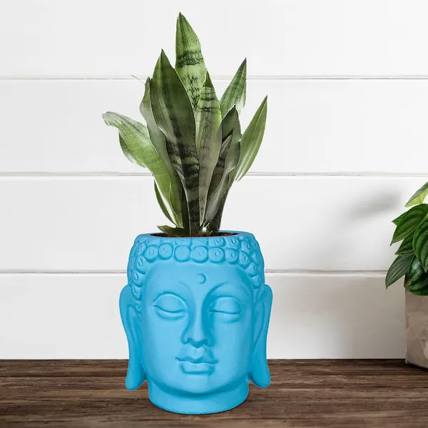 Buddha_6_Aqua_Ceramic_Pots_For_Indoor_Plants,_Planters,_Flower,_Pots,_Gamla,Outdoor,Balcony,Home,Round,Garden,_Office_Decor,Succulent(H_-_15.5_X_D_-_16_Cm)