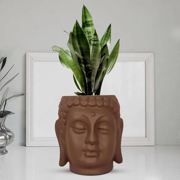 Buddha_6_Truffle_Ceramic_Pots_For_Indoor_Plants,_Planters,_Flower,_Pots,_Gamla,Outdoor,Balcony,Home,Round,Garden,_Office_Decor,Succulent(H_-_15.5_X_D_-_16_Cm)