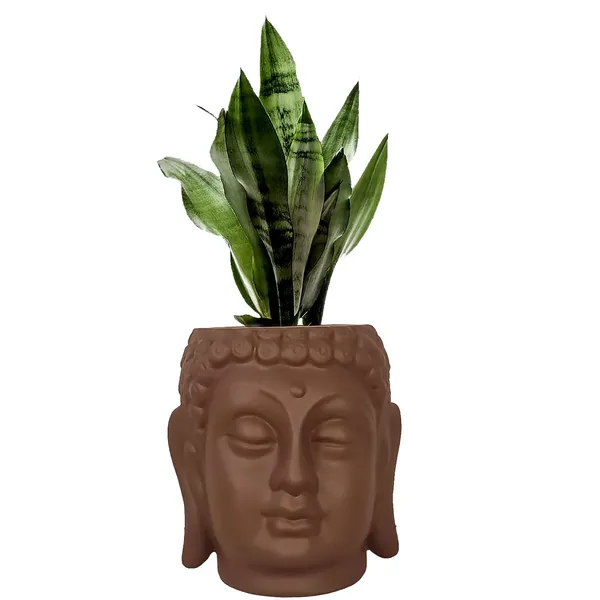 Buddha_6_Truffle_Ceramic_Pots_For_Indoor_Plants,_Planters,_Flower,_Pots,_Gamla,Outdoor,Balcony,Home,Round,Garden,_Office_Decor,Succulent(H_-_15.5_X_D_-_16_Cm)