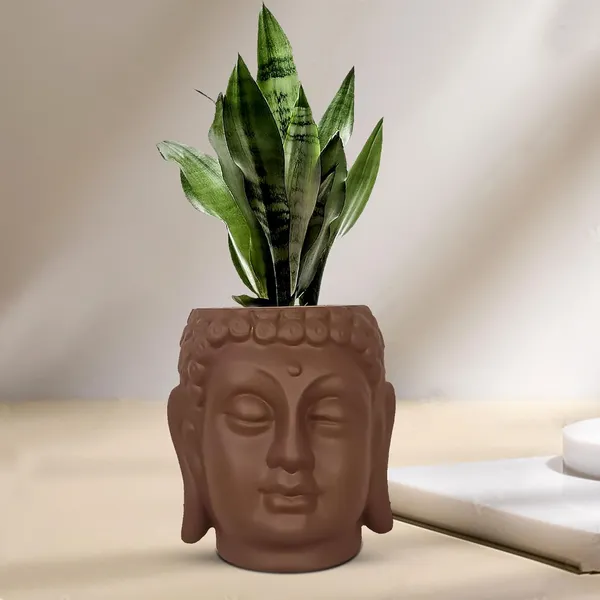 Buddha_6_Truffle_Ceramic_Pots_For_Indoor_Plants,_Planters,_Flower,_Pots,_Gamla,Outdoor,Balcony,Home,Round,Garden,_Office_Decor,Succulent(H_-_15.5_X_D_-_16_Cm)