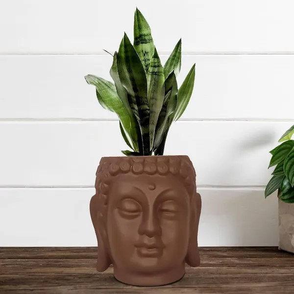 Buddha_6_Truffle_Ceramic_Pots_For_Indoor_Plants,_Planters,_Flower,_Pots,_Gamla,Outdoor,Balcony,Home,Round,Garden,_Office_Decor,Succulent(H_-_15.5_X_D_-_16_Cm)