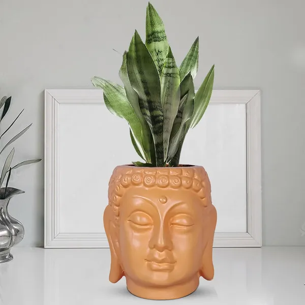 Buddha_6_Lily_Ceramic_Pots_For_Indoor_Plants,_Planters,_Flower,Gamla,Outdoor,Balcony,Home,Decor,Succulent(H_-_15.5_X_D_-_16_Cm)