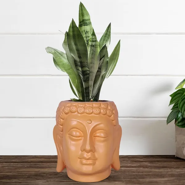 Buddha_6_Lily_Ceramic_Pots_For_Indoor_Plants,_Planters,_Flower,Gamla,Outdoor,Balcony,Home,Decor,Succulent(H_-_15.5_X_D_-_16_Cm)