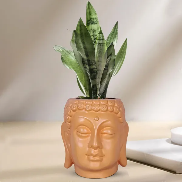 Buddha_6_Lily_Ceramic_Pots_For_Indoor_Plants,_Planters,_Flower,Gamla,Outdoor,Balcony,Home,Decor,Succulent(H_-_15.5_X_D_-_16_Cm)