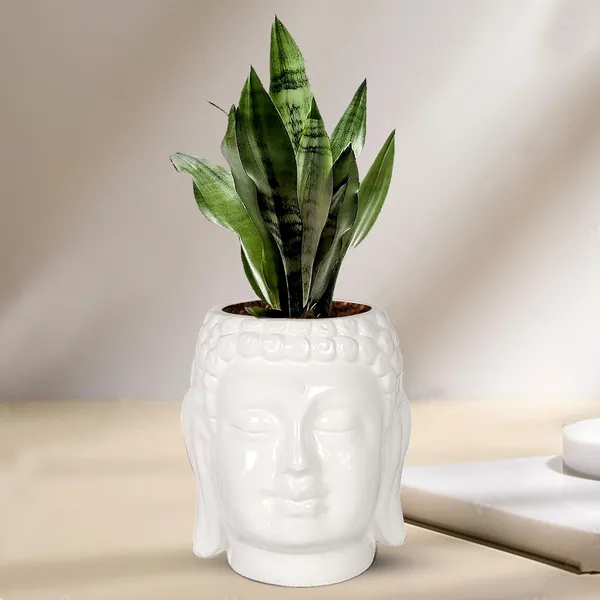 Buddha_6_White_Ceramic_Pots_For_Indoor_Plants,_Planters,_Flower,_Pots,_Gamla,Outdoor,Balcony,Home,Round,Garden,_Office_Decor,Succulent(H_-_15.5_X_D_-_16_Cm)