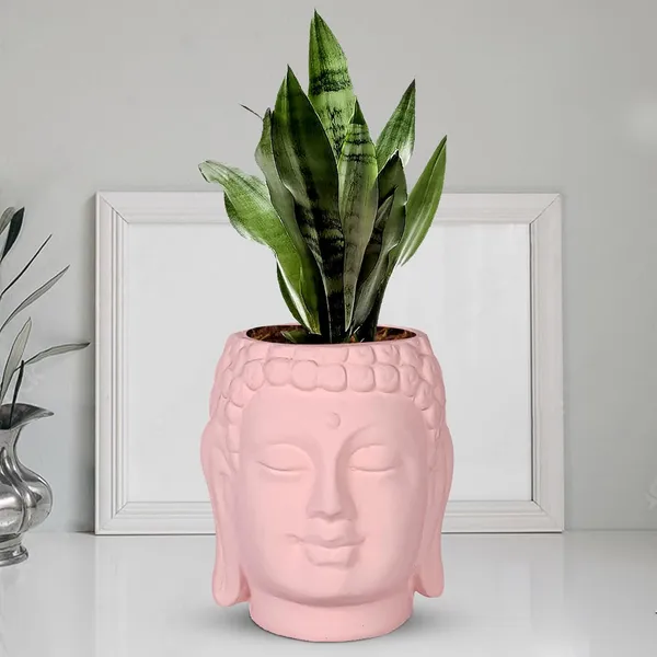 Buddha_6_Pink_Ceramic_Pots_For_Indoor_Plants,_Planters,_Flower,_Pots,_Gamla,Outdoor,Balcony,Home,Round,Garden,_Office_Decor,Succulent(H_-_15.5_X_D_-_16_Cm)