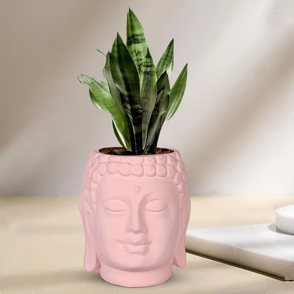 Buddha_6_Pink_Ceramic_Pots_For_Indoor_Plants,_Planters,_Flower,_Pots,_Gamla,Outdoor,Balcony,Home,Round,Garden,_Office_Decor,Succulent(H_-_15.5_X_D_-_16_Cm)