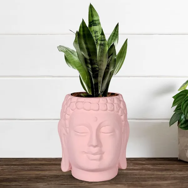 Buddha_6_Pink_Ceramic_Pots_For_Indoor_Plants,_Planters,_Flower,_Pots,_Gamla,Outdoor,Balcony,Home,Round,Garden,_Office_Decor,Succulent(H_-_15.5_X_D_-_16_Cm)