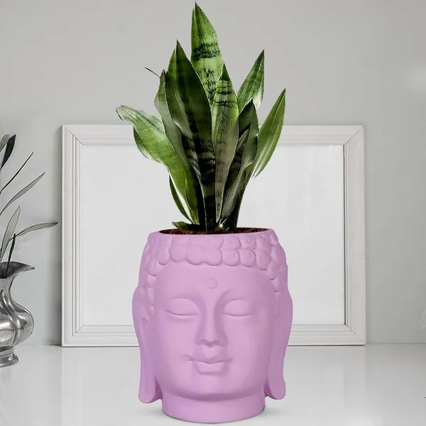 Buddha_6_Purple_Ceramic_Pots_For_Indoor_Plants,_Planters,_Flower,_Pots,_Gamla,Outdoor,Balcony,Home,Round,Garden,_Office_Decor,Succulent(H_-_15.5_X_D_-_16_Cm)