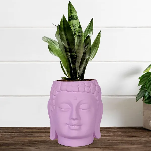 Buddha_6_Purple_Ceramic_Pots_For_Indoor_Plants,_Planters,_Flower,_Pots,_Gamla,Outdoor,Balcony,Home,Round,Garden,_Office_Decor,Succulent(H_-_15.5_X_D_-_16_Cm)