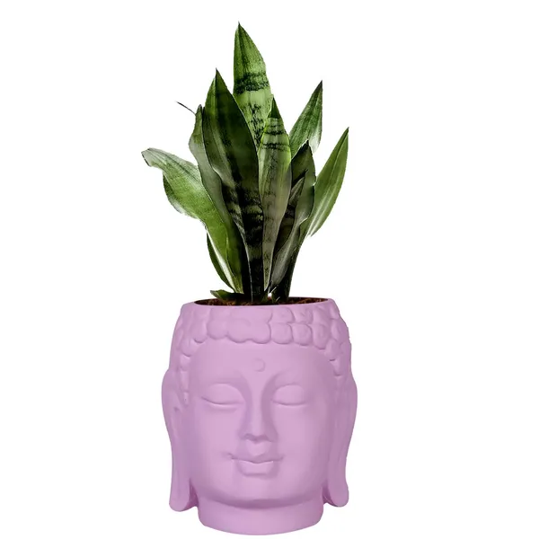 Buddha_6_Purple_Ceramic_Pots_For_Indoor_Plants,_Planters,_Flower,_Pots,_Gamla,Outdoor,Balcony,Home,Round,Garden,_Office_Decor,Succulent(H_-_15.5_X_D_-_16_Cm)