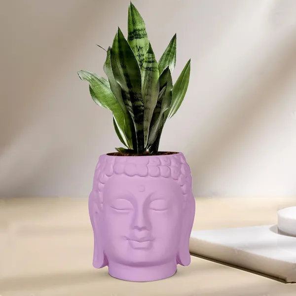 Buddha_6_Purple_Ceramic_Pots_For_Indoor_Plants,_Planters,_Flower,_Pots,_Gamla,Outdoor,Balcony,Home,Round,Garden,_Office_Decor,Succulent(H_-_15.5_X_D_-_16_Cm)