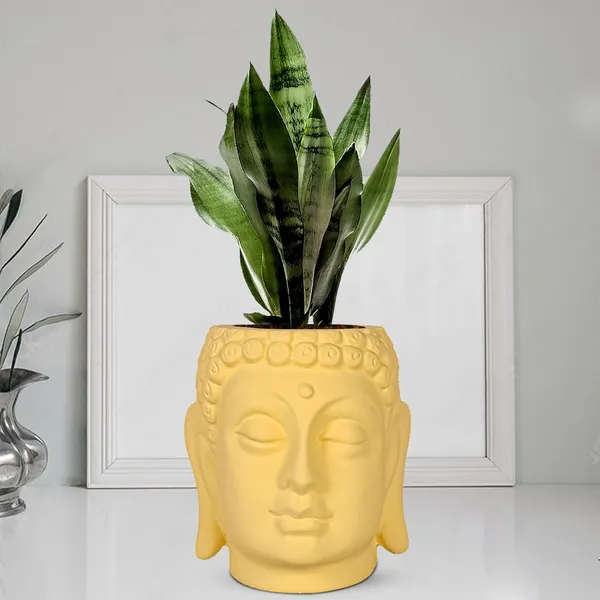 Buddha_6_Saffron_Ceramic_Pots_For_Indoor_Plants,_Planters,_Flower,_Gamla,Outdoor,Balcony,Home,Round,Garden,_Office_Decor,Succulent(H_-_15.5_X_D_-_16_Cm)