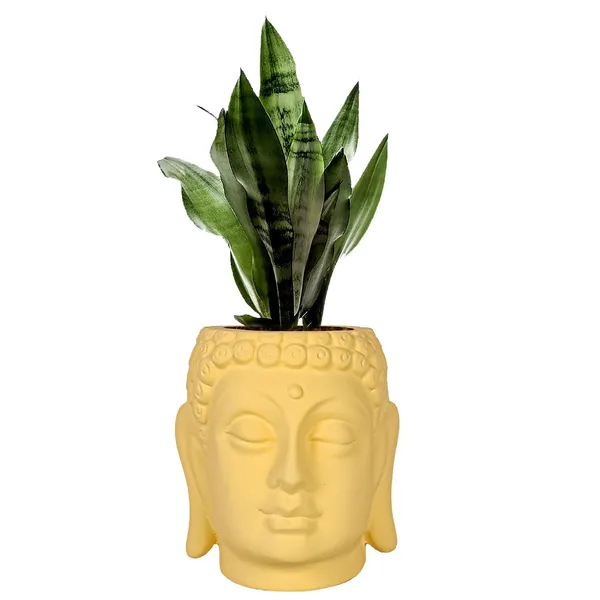 Buddha_6_Saffron_Ceramic_Pots_For_Indoor_Plants,_Planters,_Flower,_Gamla,Outdoor,Balcony,Home,Round,Garden,_Office_Decor,Succulent(H_-_15.5_X_D_-_16_Cm)