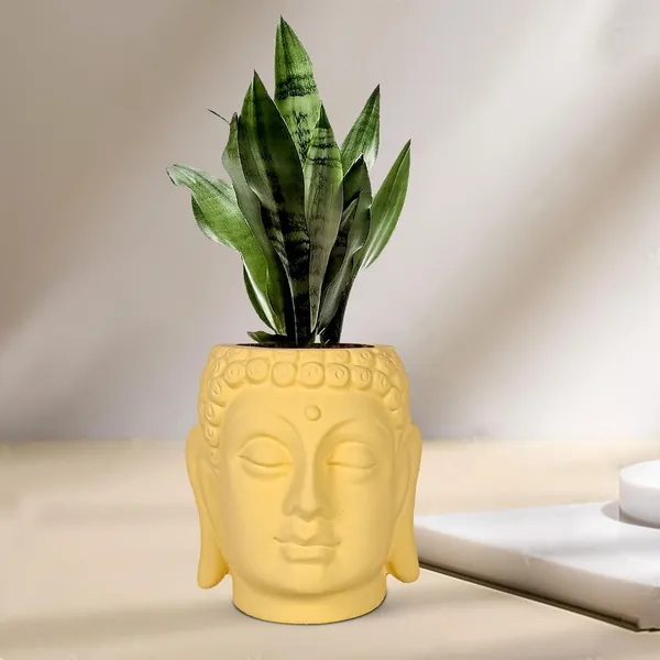 Buddha_6_Saffron_Ceramic_Pots_For_Indoor_Plants,_Planters,_Flower,_Gamla,Outdoor,Balcony,Home,Round,Garden,_Office_Decor,Succulent(H_-_15.5_X_D_-_16_Cm)