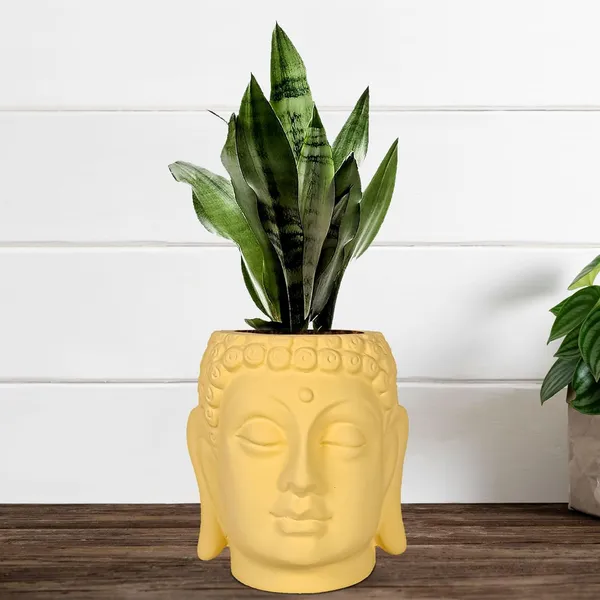 Buddha_6_Saffron_Ceramic_Pots_For_Indoor_Plants,_Planters,_Flower,_Gamla,Outdoor,Balcony,Home,Round,Garden,_Office_Decor,Succulent(H_-_15.5_X_D_-_16_Cm)