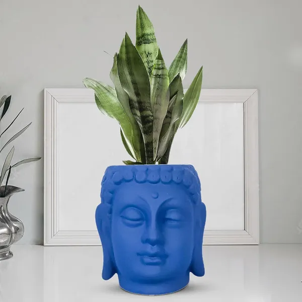 Buddha_6_Blue_Ceramic_Pots_For_Indoor_Plants,_Planters,_Flower,_Pots,_Gamla,Outdoor,Balcony,Home,Round,Garden,_Office_Decor,Succulent(H_-_15.5_X_D_-_16_Cm)