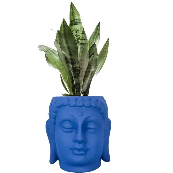 Buddha_6_Blue_Ceramic_Pots_For_Indoor_Plants,_Planters,_Flower,_Pots,_Gamla,Outdoor,Balcony,Home,Round,Garden,_Office_Decor,Succulent(H_-_15.5_X_D_-_16_Cm)