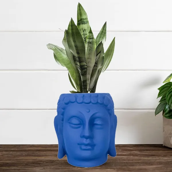 Buddha_6_Blue_Ceramic_Pots_For_Indoor_Plants,_Planters,_Flower,_Pots,_Gamla,Outdoor,Balcony,Home,Round,Garden,_Office_Decor,Succulent(H_-_15.5_X_D_-_16_Cm)