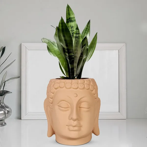 Buddha_6_Ginger_Ceramic_Pots_For_Indoor_Plants,_Planters,_Flower,_Pots,_Gamla,Outdoor,Balcony,Home,Round,Garden,_Office_Decor,Succulent(H_-_15.5_X_D_-_16_Cm)