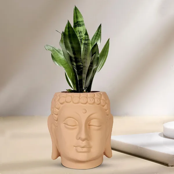 Buddha_6_Ginger_Ceramic_Pots_For_Indoor_Plants,_Planters,_Flower,_Pots,_Gamla,Outdoor,Balcony,Home,Round,Garden,_Office_Decor,Succulent(H_-_15.5_X_D_-_16_Cm)