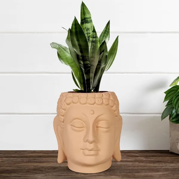 Buddha_6_Ginger_Ceramic_Pots_For_Indoor_Plants,_Planters,_Flower,_Pots,_Gamla,Outdoor,Balcony,Home,Round,Garden,_Office_Decor,Succulent(H_-_15.5_X_D_-_16_Cm)
