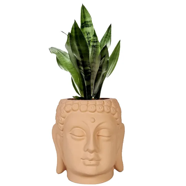 Buddha_6_Ginger_Ceramic_Pots_For_Indoor_Plants,_Planters,_Flower,_Pots,_Gamla,Outdoor,Balcony,Home,Round,Garden,_Office_Decor,Succulent(H_-_15.5_X_D_-_16_Cm)