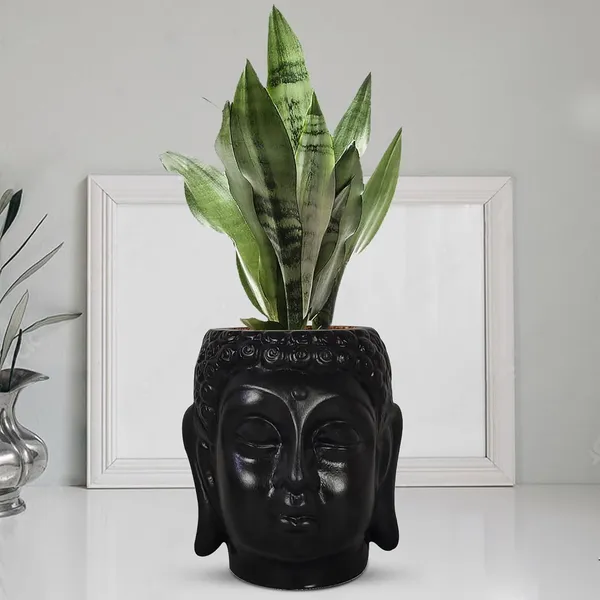 Buddha_6_Black_Ceramic_Pots_For_Indoor_Plants,_Planters,_Flower,_Pots,_Gamla,Outdoor,Balcony,Home,Round,Garden,_Office_Decor,Succulent(H_-_15.5_X_D_-_16_Cm)