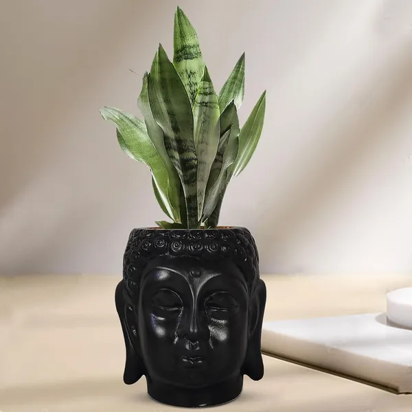 Buddha_6_Black_Ceramic_Pots_For_Indoor_Plants,_Planters,_Flower,_Pots,_Gamla,Outdoor,Balcony,Home,Round,Garden,_Office_Decor,Succulent(H_-_15.5_X_D_-_16_Cm)