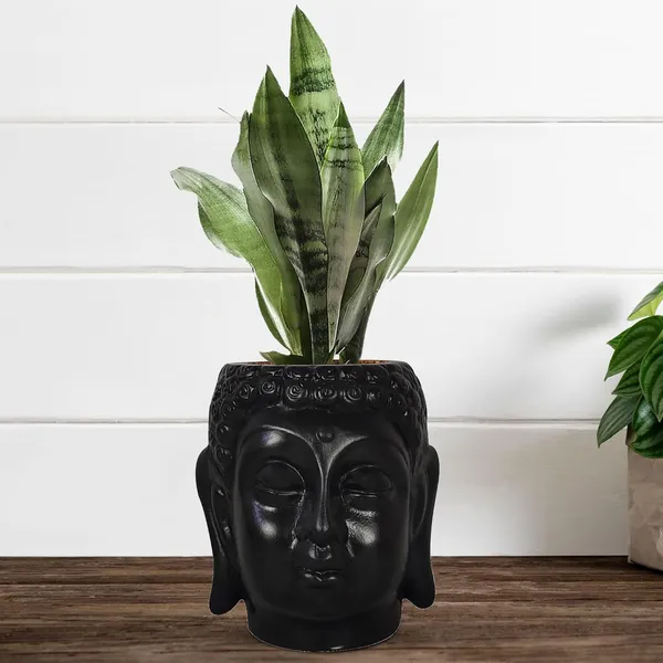 Buddha_6_Black_Ceramic_Pots_For_Indoor_Plants,_Planters,_Flower,_Pots,_Gamla,Outdoor,Balcony,Home,Round,Garden,_Office_Decor,Succulent(H_-_15.5_X_D_-_16_Cm)