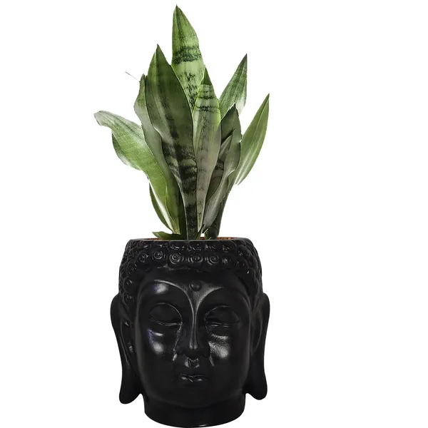 Buddha_6_Black_Ceramic_Pots_For_Indoor_Plants,_Planters,_Flower,_Pots,_Gamla,Outdoor,Balcony,Home,Round,Garden,_Office_Decor,Succulent(H_-_15.5_X_D_-_16_Cm)