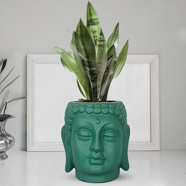 Buddha_6_Deep_Jungle_Ceramic_Pots_For_Indoor_Plants,_Planters,_Flower,_Pots,_Gamla,Outdoor,Balcony,Home,Round,Garden,_Office_Decor,Succulent(H_-_15.5_X_D_-_16_Cm)