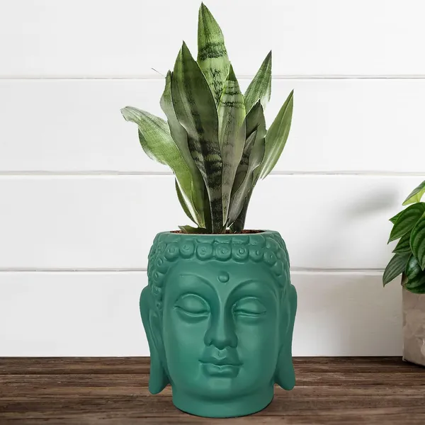 Buddha_6_Deep_Jungle_Ceramic_Pots_For_Indoor_Plants,_Planters,_Flower,_Pots,_Gamla,Outdoor,Balcony,Home,Round,Garden,_Office_Decor,Succulent(H_-_15.5_X_D_-_16_Cm)