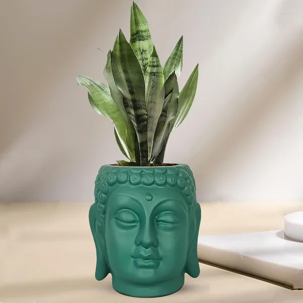 Buddha_6_Deep_Jungle_Ceramic_Pots_For_Indoor_Plants,_Planters,_Flower,_Pots,_Gamla,Outdoor,Balcony,Home,Round,Garden,_Office_Decor,Succulent(H_-_15.5_X_D_-_16_Cm)