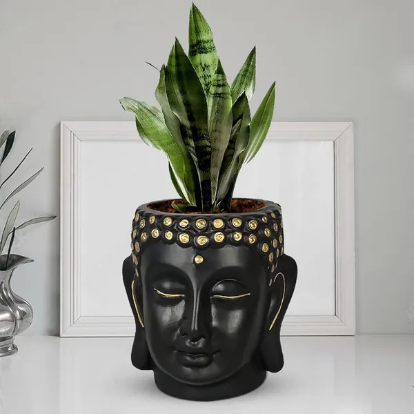 Buddha_6_Black_Gold_Ceramic_Pots_For_Indoor_Plants,_Planters,_Flower,_Pots,_Gamla,Outdoor,Balcony,Home,Round,Garden,_Office_Decor,Succulent(H_-_15.5_X_D_-_16_Cm)