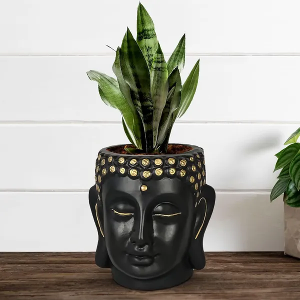 Buddha_6_Black_Gold_Ceramic_Pots_For_Indoor_Plants,_Planters,_Flower,_Pots,_Gamla,Outdoor,Balcony,Home,Round,Garden,_Office_Decor,Succulent(H_-_15.5_X_D_-_16_Cm)