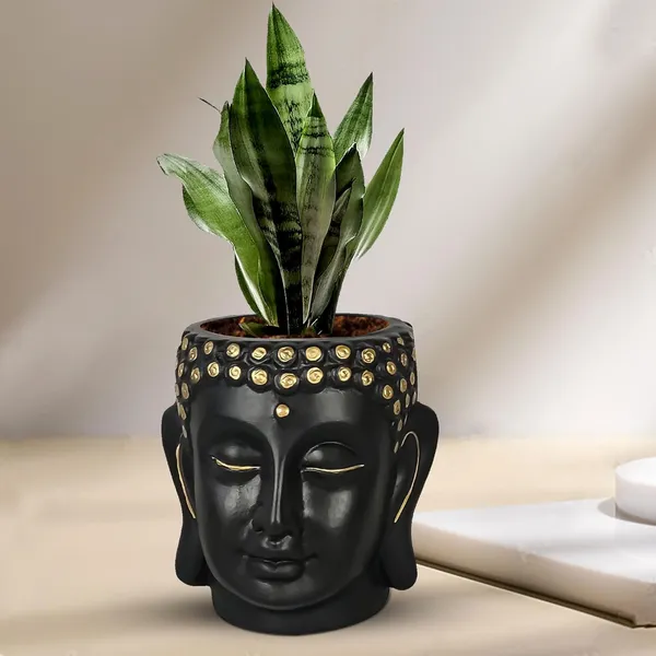 Buddha_6_Black_Gold_Ceramic_Pots_For_Indoor_Plants,_Planters,_Flower,_Pots,_Gamla,Outdoor,Balcony,Home,Round,Garden,_Office_Decor,Succulent(H_-_15.5_X_D_-_16_Cm)